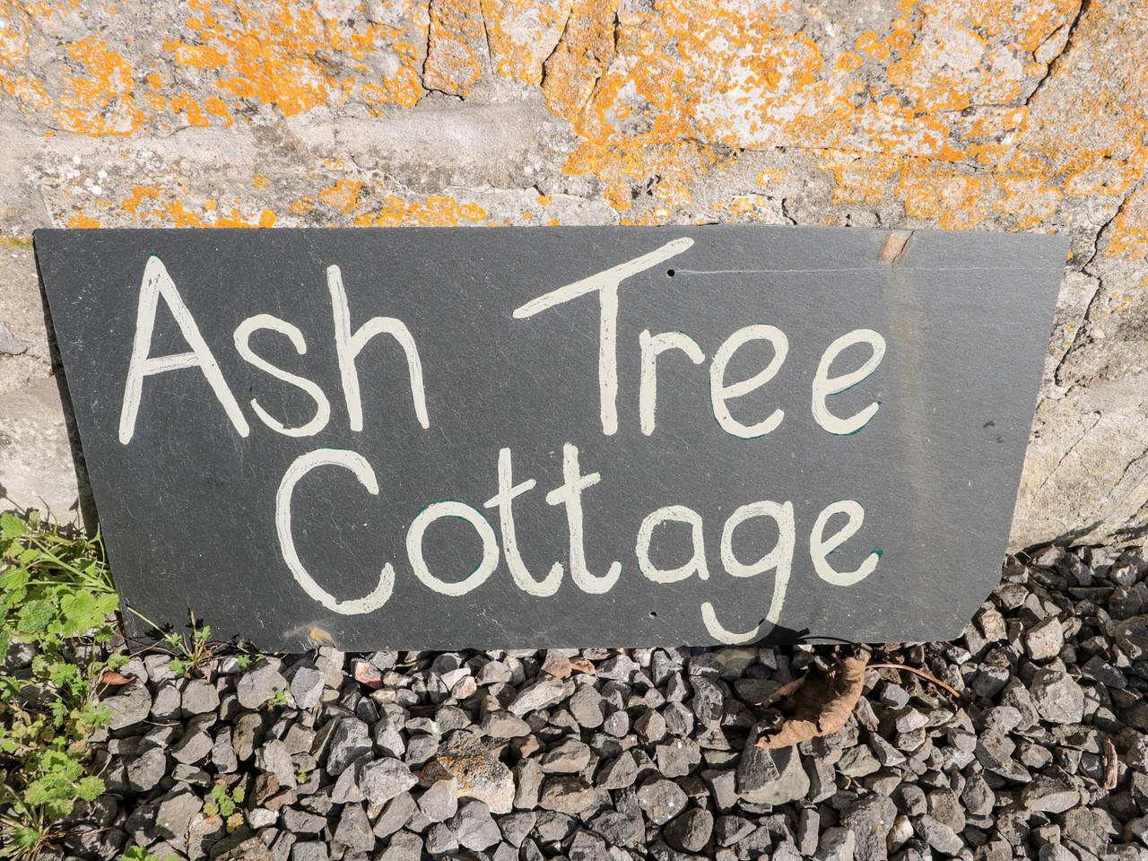 Ash Tree Cottage in Vale of Glamorgan region