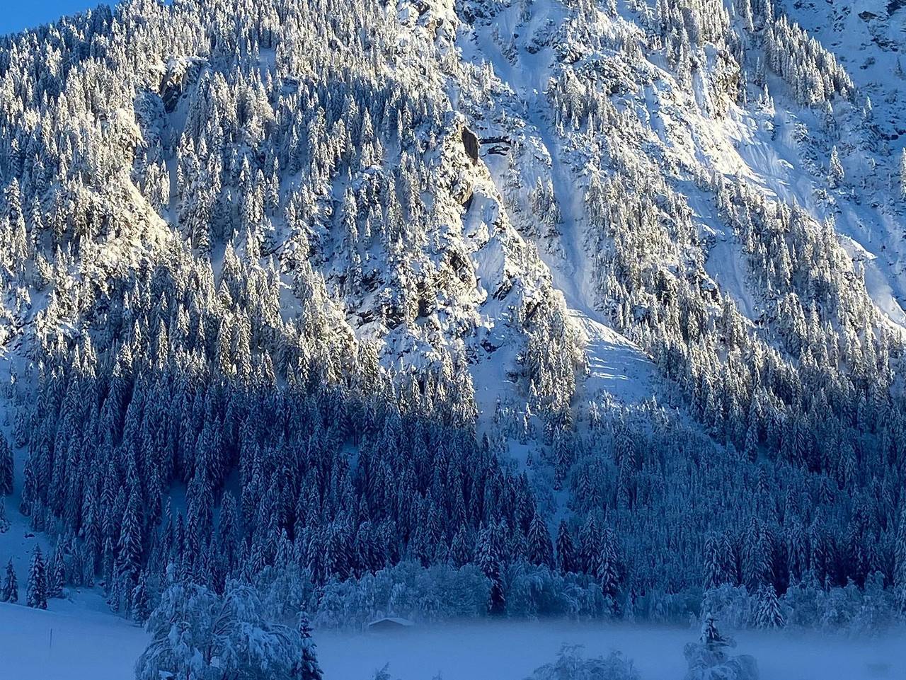 Ganze Ferienwohnung, Apartment Bergsymphonie - Apartment Tannheim in Tannheim (Tirol), Allgäuer Alpen (Österreich)
