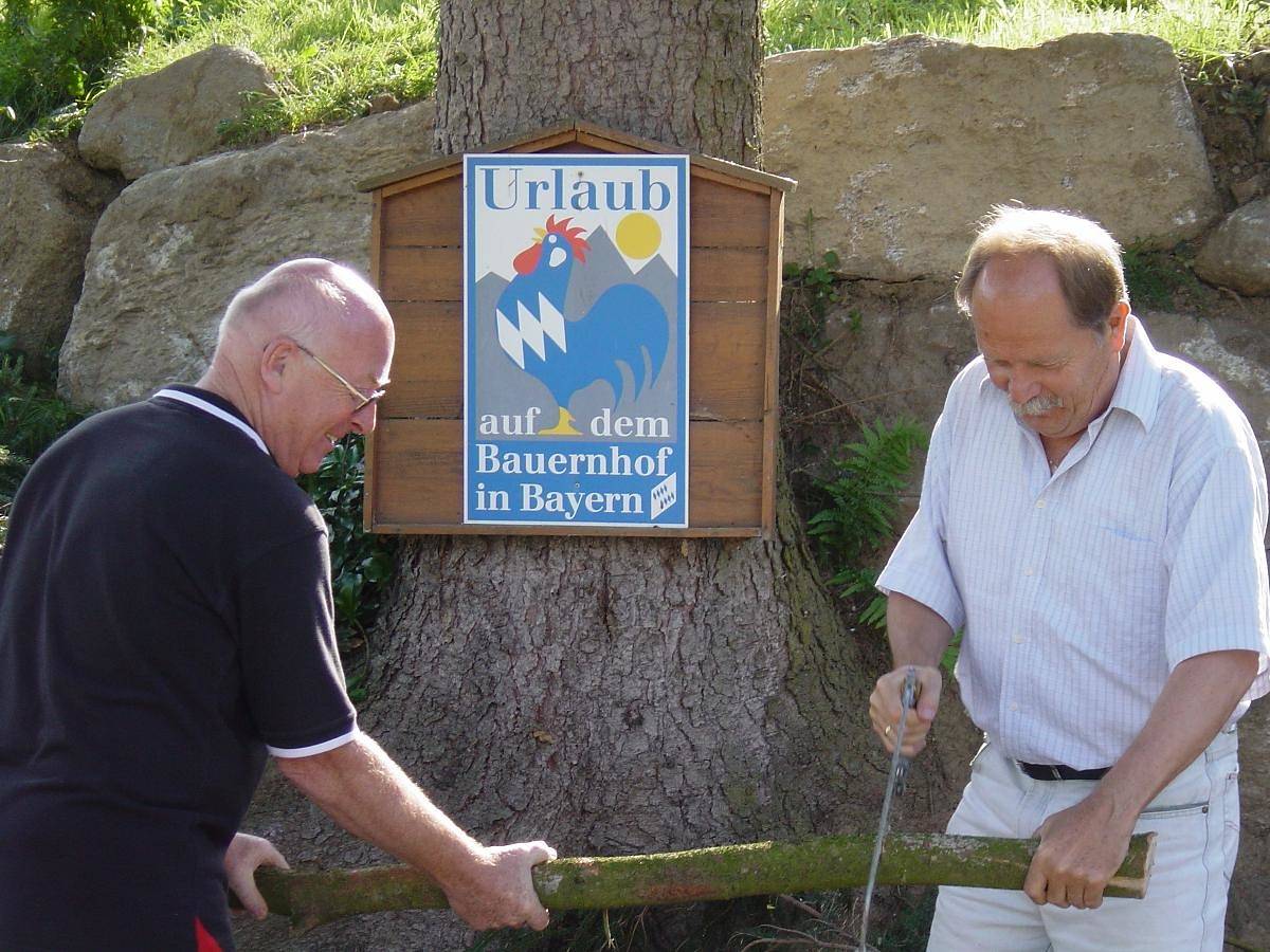 Ganze Wohnung, Mattheishof - Ferienwohnung Ii/ Bauernhaus in Grafenau, Ostbayern