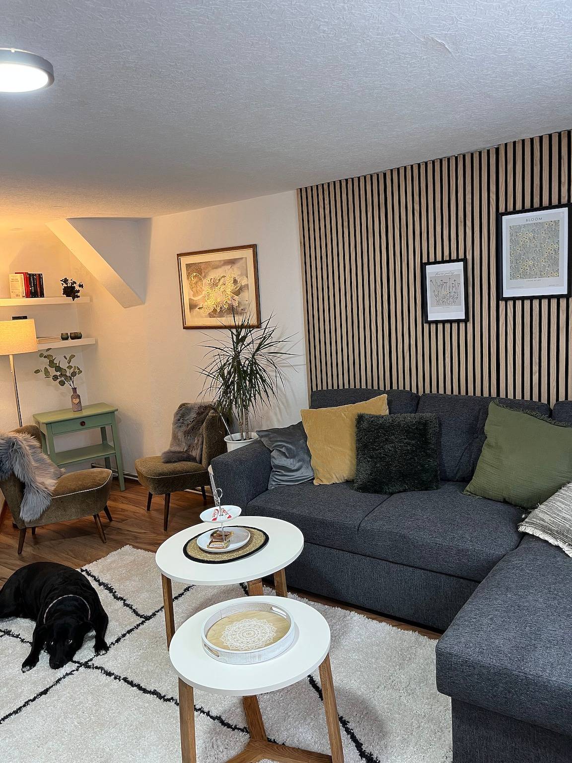 Ganze Wohnung, Apartment 'Fewo50' mit Wlan in Homberg, Schwalm-Eder-Kreis