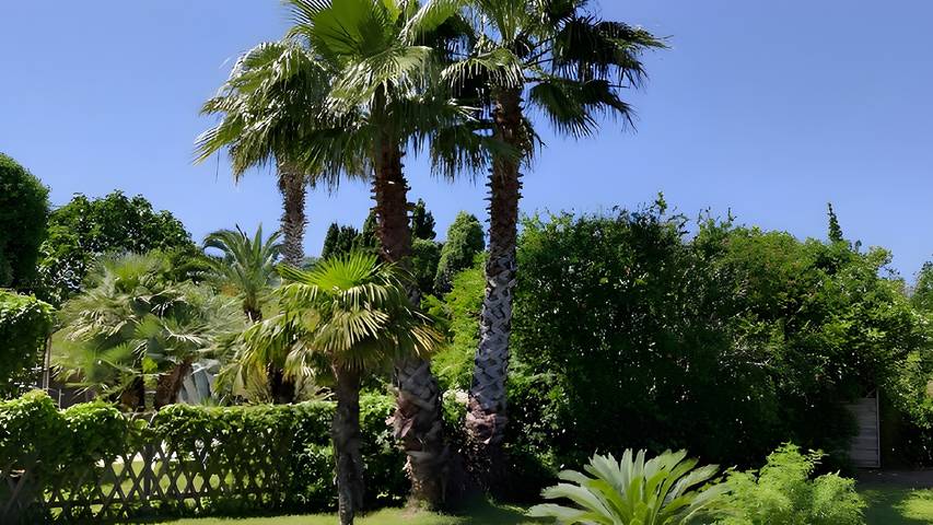 Location de vacances pour 16 personnes, avec jardin et bassin pour enfant, adapté aux familles à Argeliers - 4