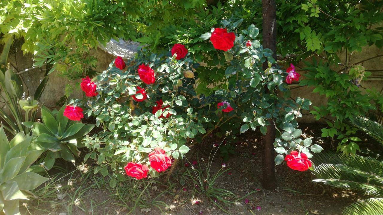 Holiday House Torre Di Manfria in Gela, Provincia di Caltanissetta