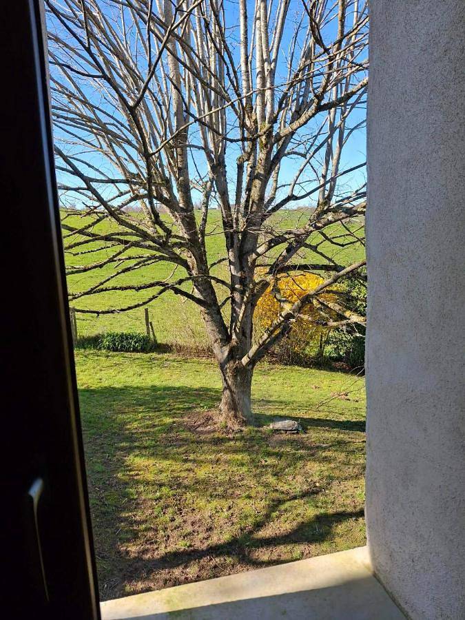 Gîte pour 4 personnes, avec Balcon à La Salvetat-Peyralès - 2