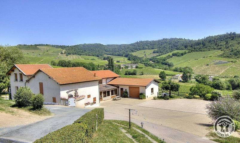 Gîte pour 10 personnes, avec terrasse à Fleurie - 3