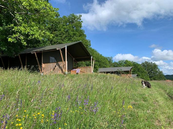 Tente pour 5 personnes, avec piscine ainsi que jardin et vue, animaux acceptés dans le Lot - 4