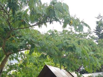 Camping pour 2 Personnes dans Hauterives, Drôme, Photo 2