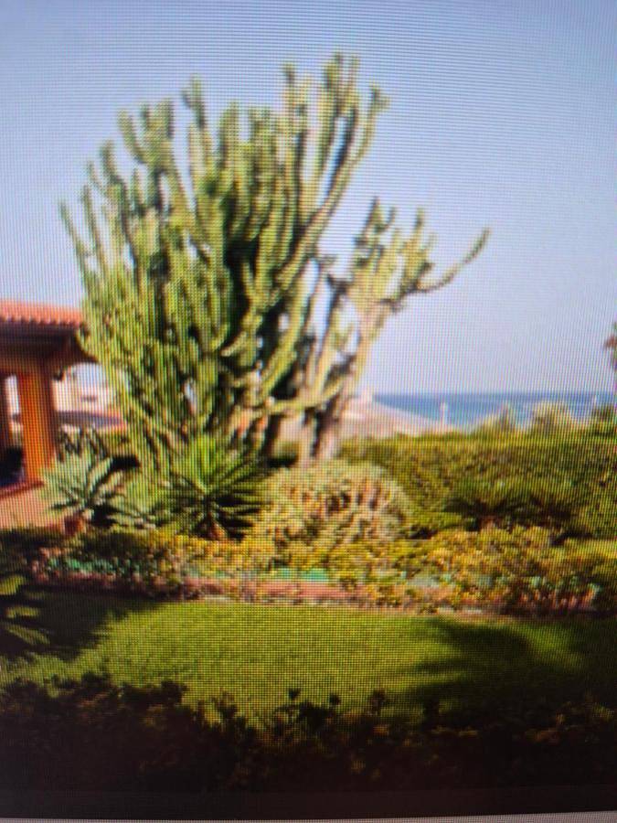 Villa per 4 persone, con Terrazza e Giardino nonché Panorama a Torrefano
