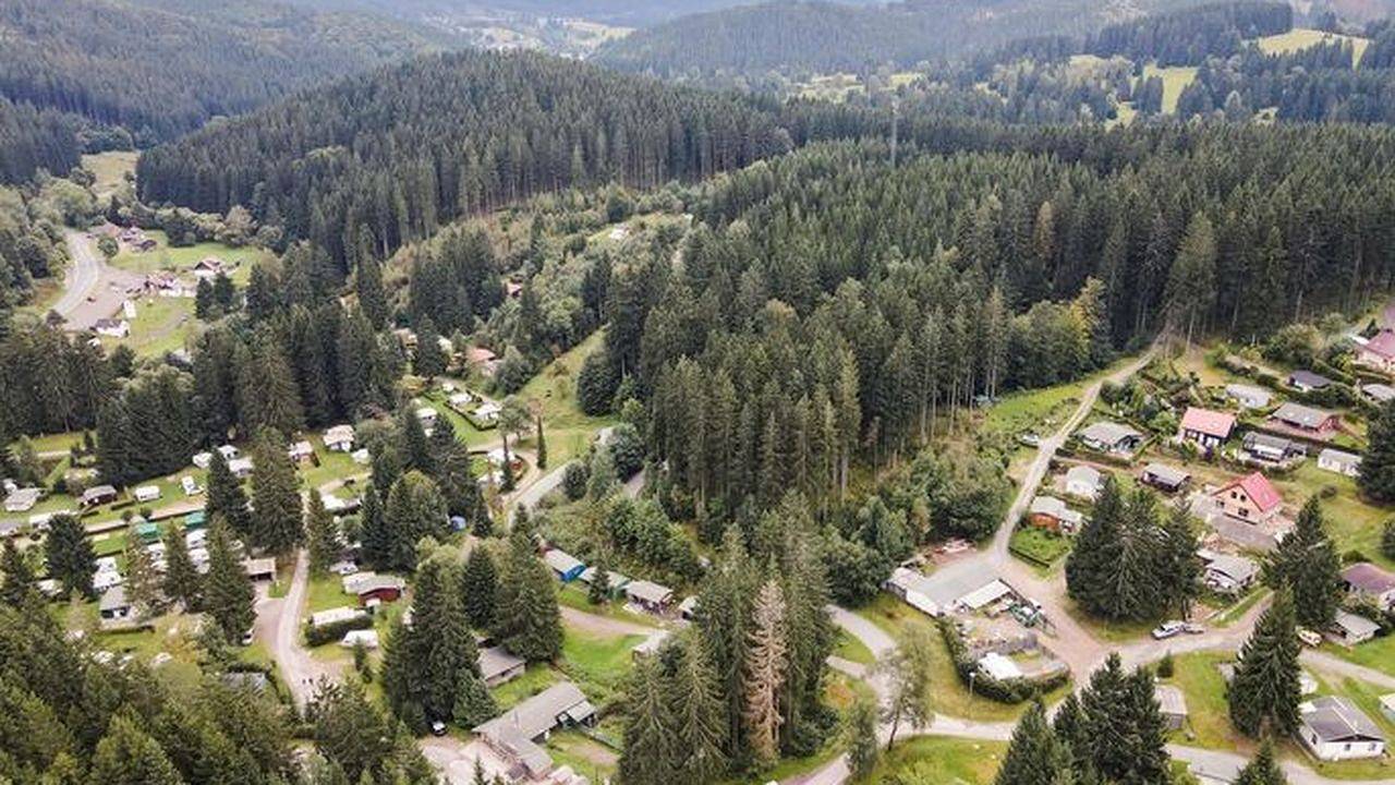 Ganze Ferienwohnung, Ferienwohnung für 4 Personen (46 m²) in Manebach in Manebach, Ilmenau