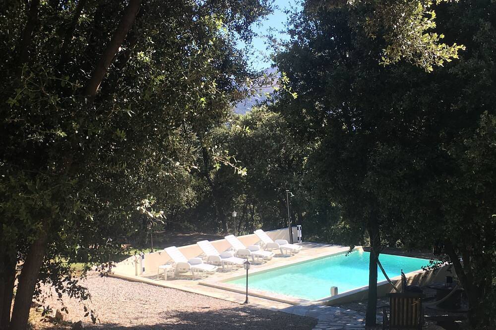 Villa Heated swimming pool Jacuzzi Boules pitch 2 independent apartments in Calenzana, Calvi region