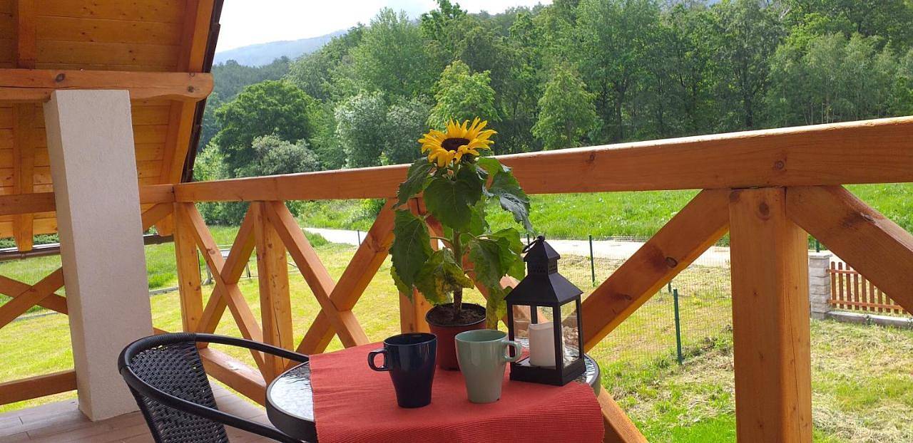 Family Room with Mountain View in Kowary, Sudety (Polska)
