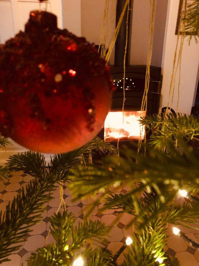 Location de vacances pour 2 personnes, avec jardin ainsi que piscine et terrasse à Profondeville