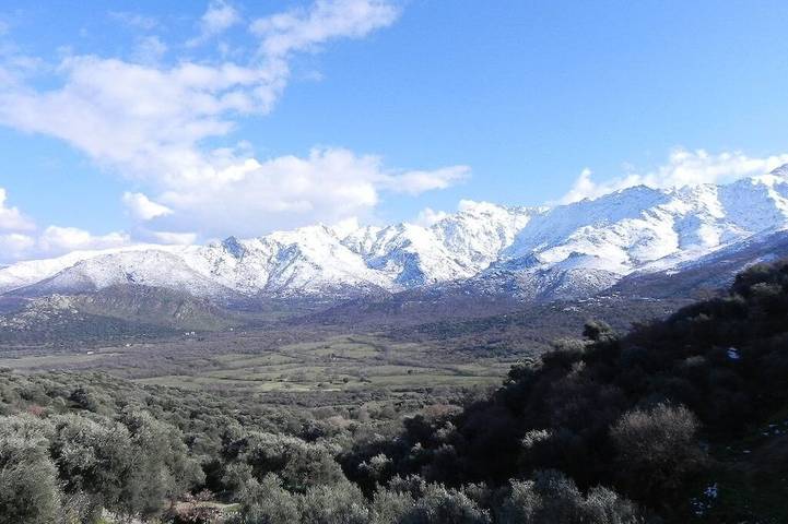 Le Grand Chêne - Cateri in Cateri, Calvi e dintorni