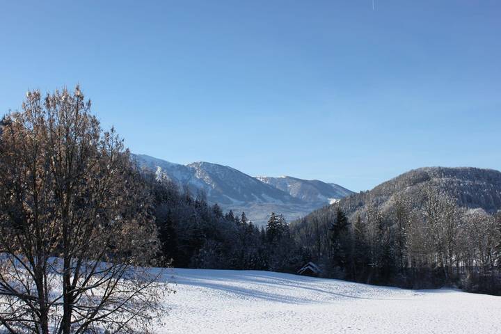 Bauernhof für 4 Personen, mit Garten und Balkon sowie Ausblick, mit Haustier in Oberösterreich - 3