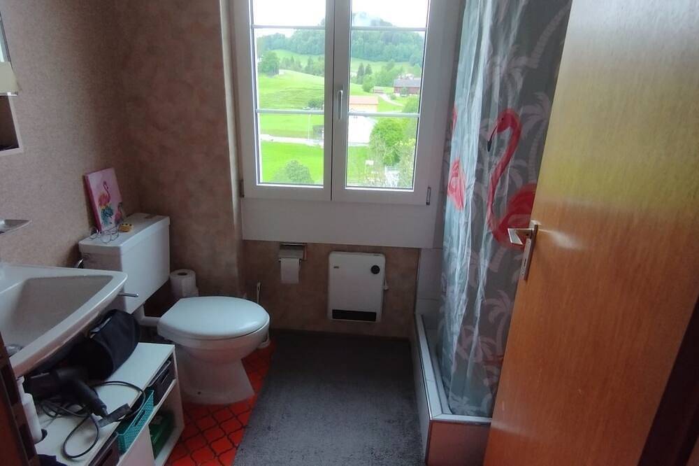 Ganze Wohnung, Gemütliche Wohnung im Grünen in Herisau, Zürich Voralpen