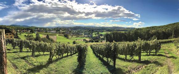 Ferienhaus für 3 Personen in Südoststeiermark, Bad Gleichenberg, Bild 1