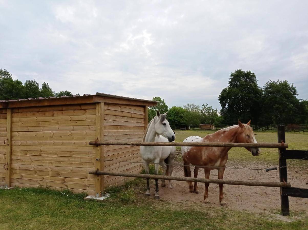 Le Ranch Amadeus in Saint-Paul-en-Born, Côte d’Argent