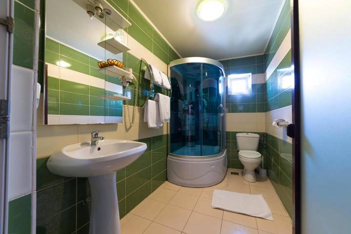 Maison d’hôte pour 3 personnes, avec Balcon et Terrasse ainsi que Piscine et Sauna à Alba (Romania) - 4