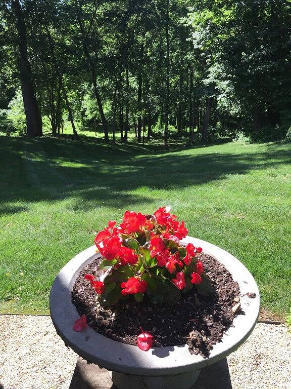 Ganze Wohnung, Englisch Kellerwohnung W / Privateingang in Travilah, Maryland