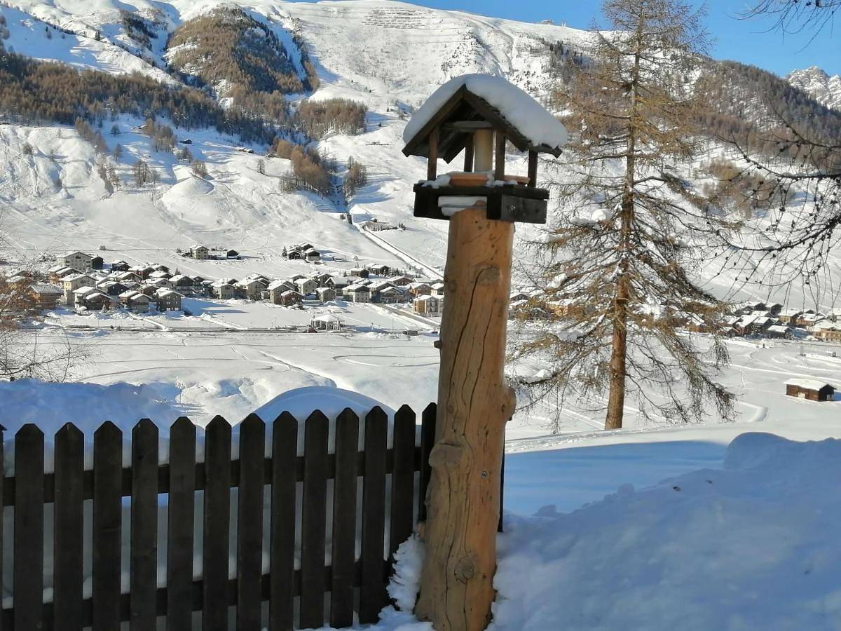 Chalet Freita in Livigno, Veltlin
