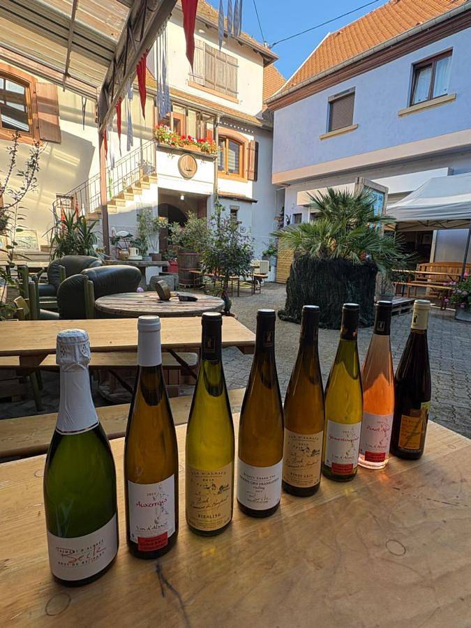 Location de vacances pour 3 personnes, avec vue et jardin à Dambach-la-Ville - 2