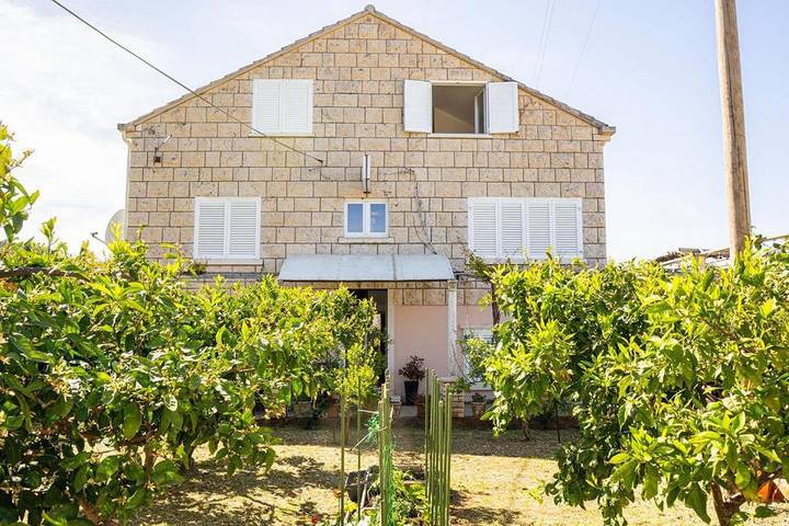 Chambre d’hôte pour 2 personnes, avec jardin en Korcula - 3
