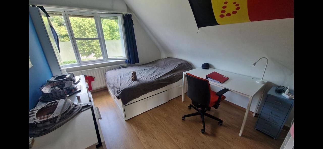 Provence bij Tomorrowland in Rumst, Région d'Anvers