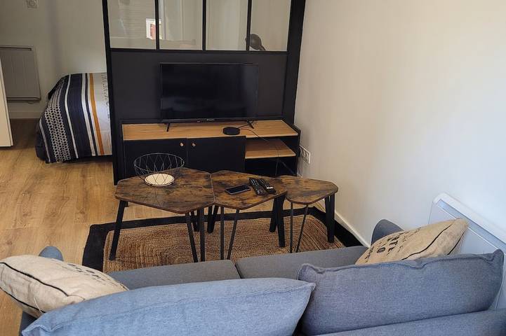 Entire apartment, Cozy studio in the center of Saint-Étienne in Saint-Étienne, Loire