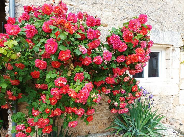 Gîte pour 7 personnes, avec terrasse à Vienne (France) - 3