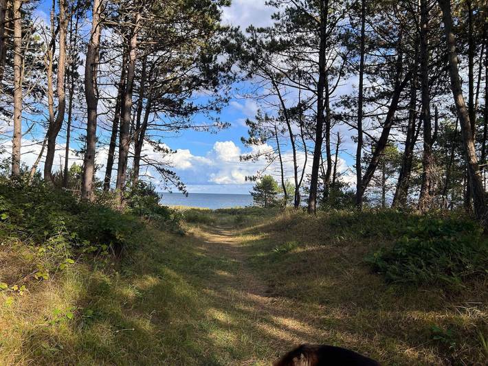 Luxuriöses Pool-Refugium in Ebeltoft in Vibæk Strand, Ebeltoft