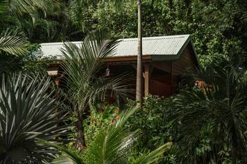 Gîte pour 3 personnes, avec jardin et terrasse ainsi que piscine et jacuzzi en Guadeloupe