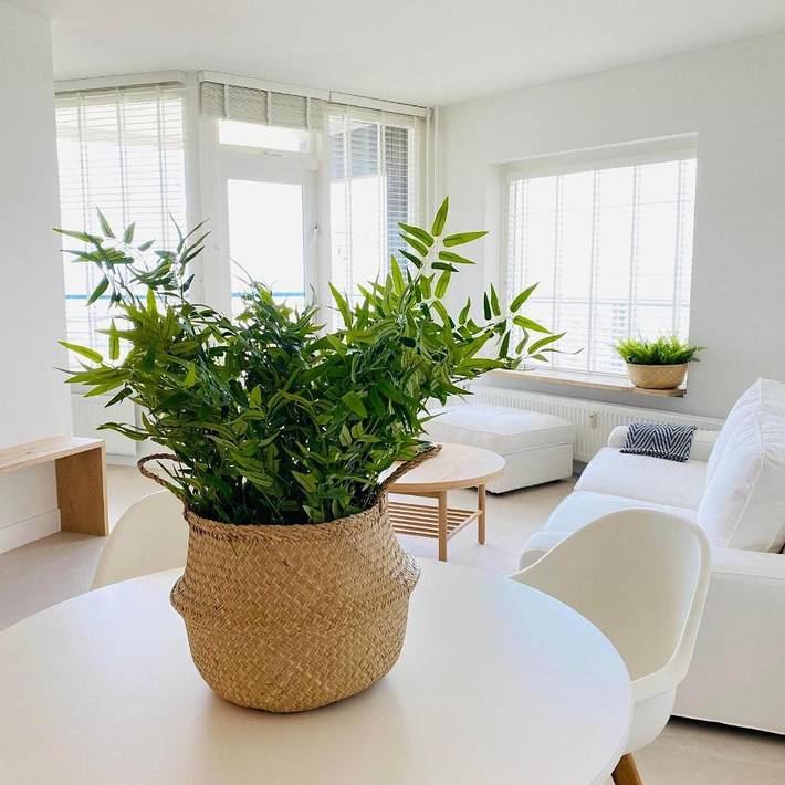 Ferienwohnung für 2 Personen, mit Balkon und Ausblick, mit Haustier in Egmond - 3