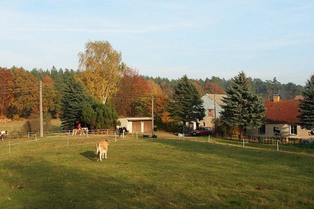 Ganze Wohnung, Ferienwohnung auf kleinem Bauernhof in Außenlage in Warthe (Boitzenburger Land), Boitzenburger Land
