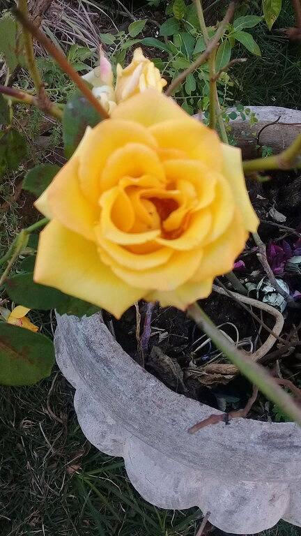 Cottage für 11 Personen - 1