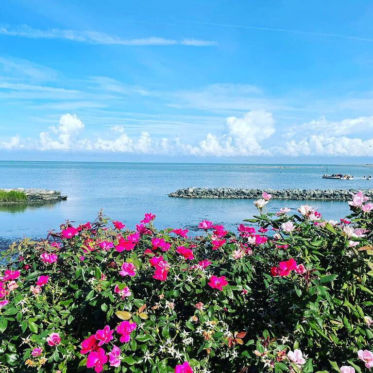 Newly renovated home just steps from the beach! in Cape Charles, Chesapeake Bay