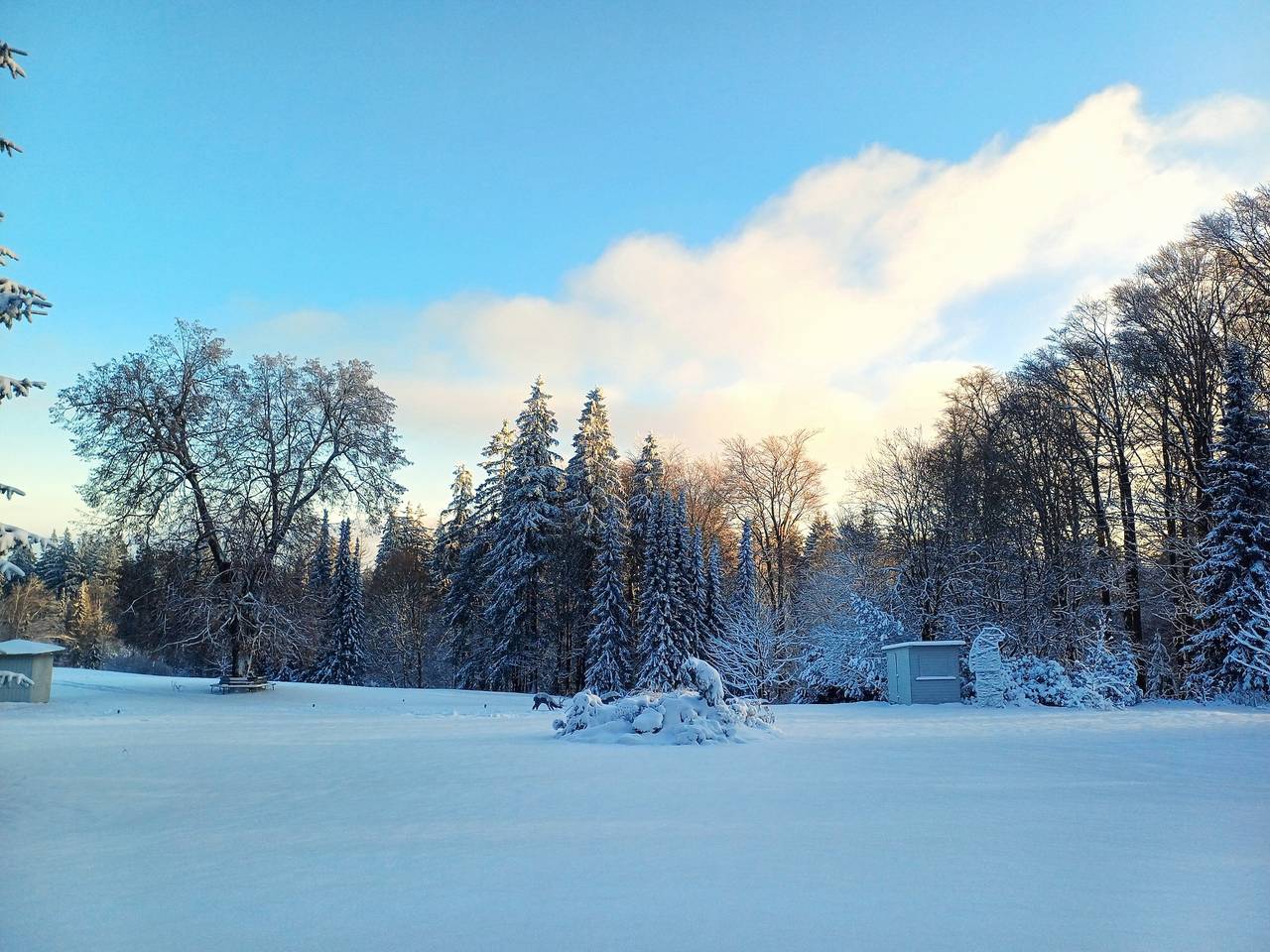Ganze Ferienwohnung, Berg & Spa Hotel Gabelbach - Komfort-Zimmer in Ilmenau, Thüringer Kernland