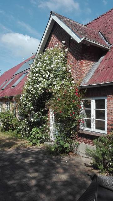 Vacation Rental for 4 Guests in Achtrup, North Friesland, Picture 1