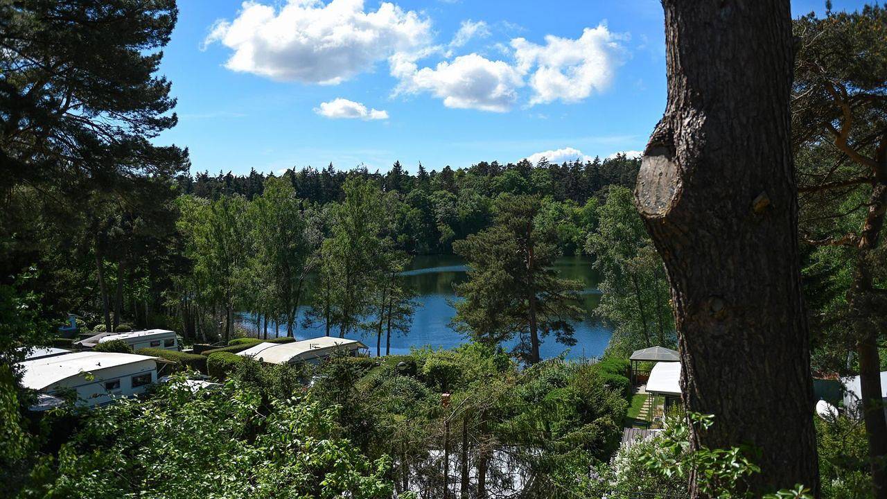 Ferienhaus für 4 Personen (22 m²) in Salem in Naturpark Lauenburgische Seen