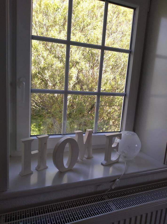 Bauernhaus für 6 Personen, mit Ausblick und Garten, mit Haustier auf Eiderstedt - 4