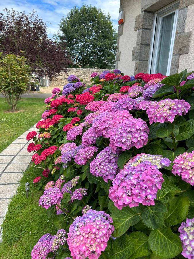 Maison d’hôte pour 4 personnes, avec Terrasse ainsi que Jardin et Vue à Pontorson - 4