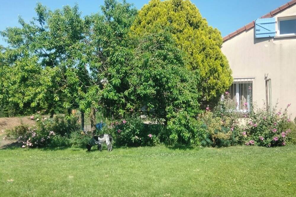 Entire apartment, Just 20 minutes from Les Puys and Le Zénith! 5 min from Riom Close to motorways. in Riom, Riom region