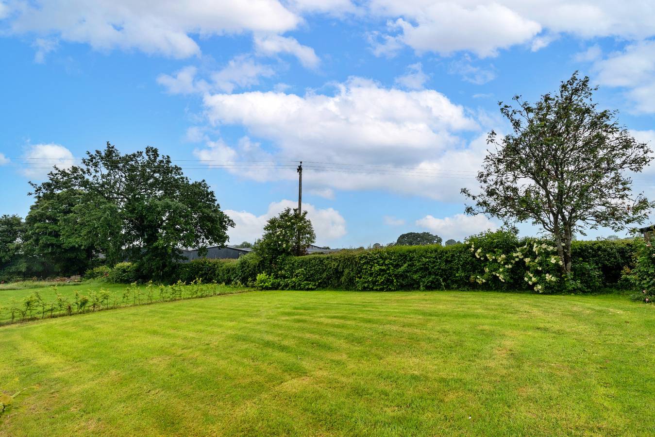 Kingsley Hollows Cottage in Staffordshire