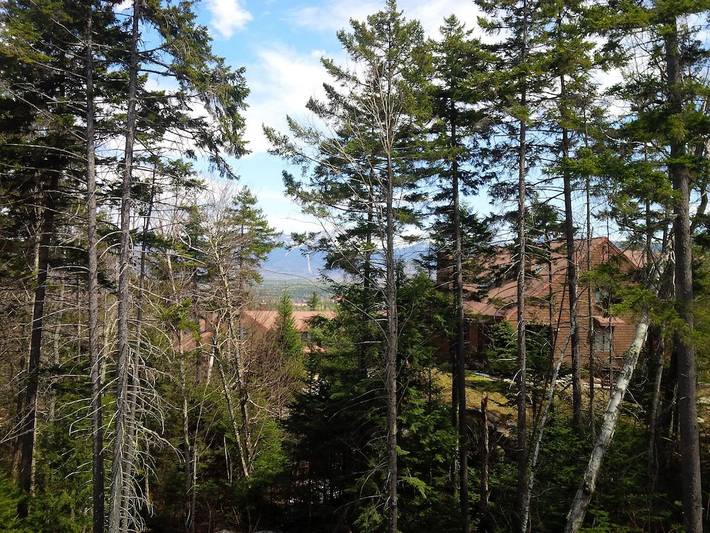 Holiday home for 10 people, with terrace - 1