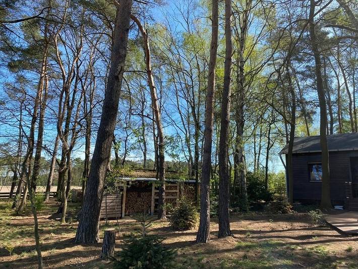 Ferienhaus für 4 Personen, mit Terrasse und Garten sowie Sauna in der Lüneburger Heide - 3