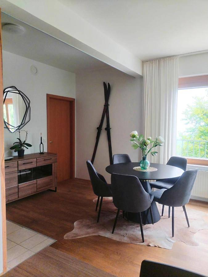 Gîte pour 4 personnes, avec balcon et vue, animaux acceptés à Maribor - 3