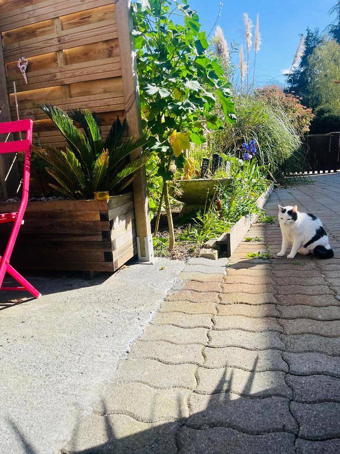 Location de vacances pour 4 personnes, avec vue et terrasse, animaux acceptés à Josselin - 2