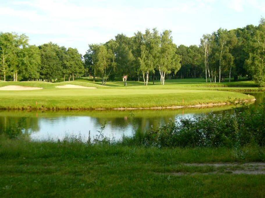 Appartement entier, Cottage Golf-Balnéades-Zenith-Comet 1-4 pers et bébé in Ardon, Sologne