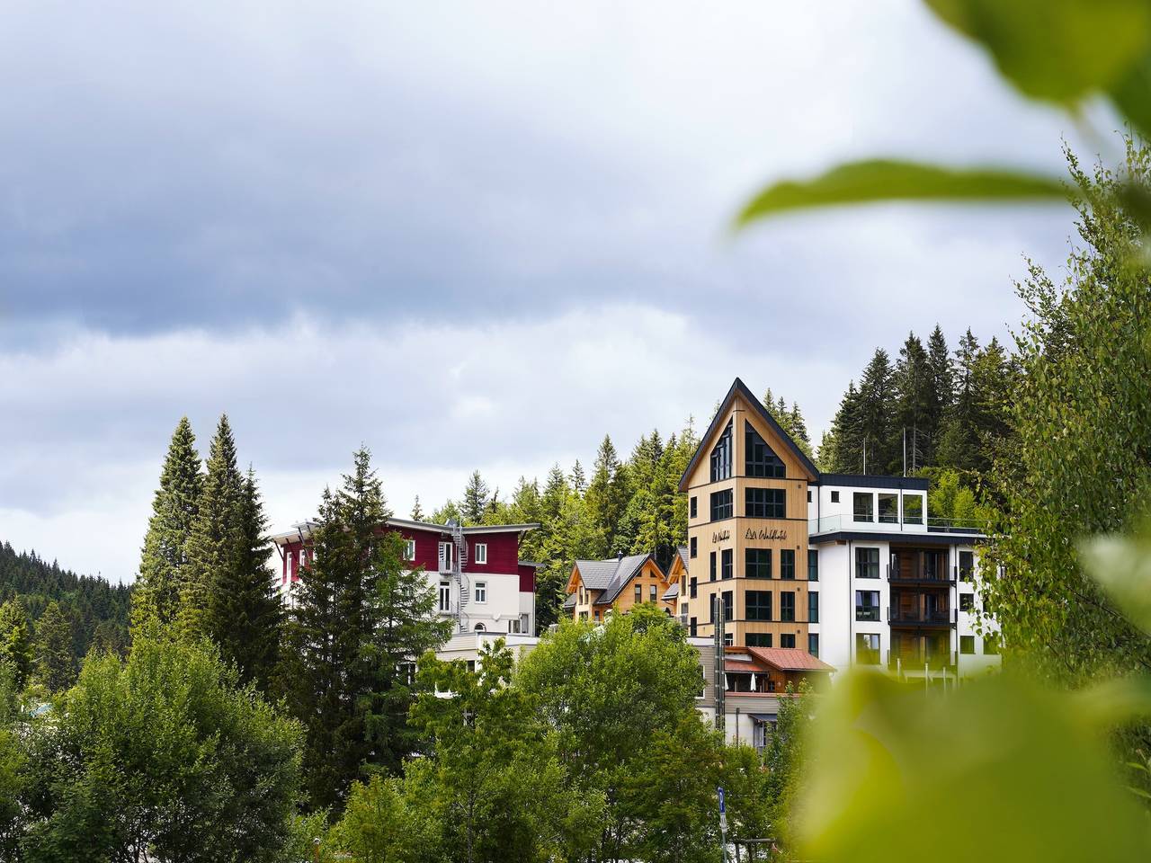 Waldhotel am Notschreipass - Nordic Flair-Doppelzimmer Superior in Todtnau, Forêt-Noire du Sud