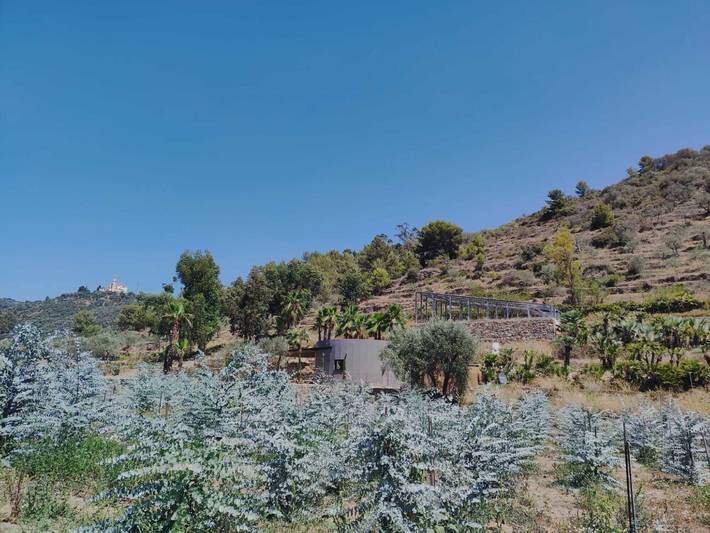 Ferienhaus für 2 Personen, mit Garten in Cipressa - 4