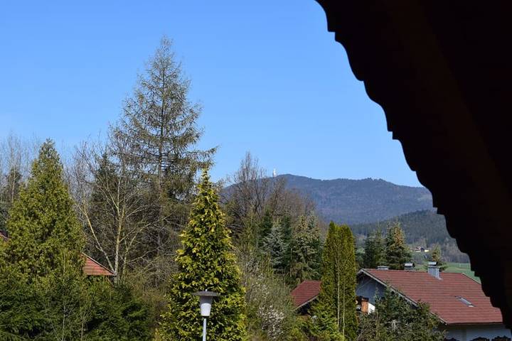 Ferienhaus für 6 Personen, mit Garten und Balkon, kinderfreundlich im Bayerischer Wald - 3