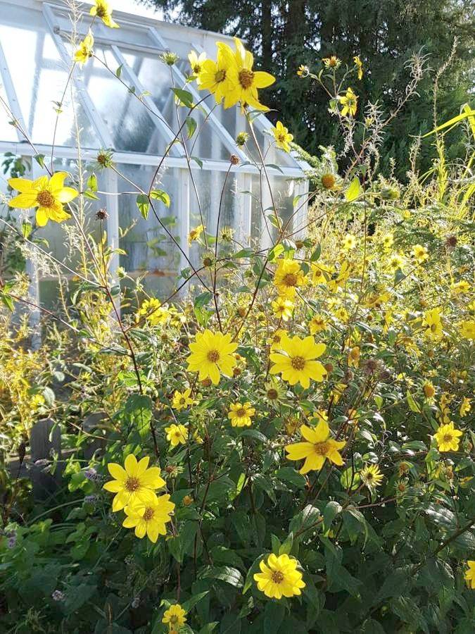 Ferienwohnung für 2 Personen, mit Garten in Motala - 2